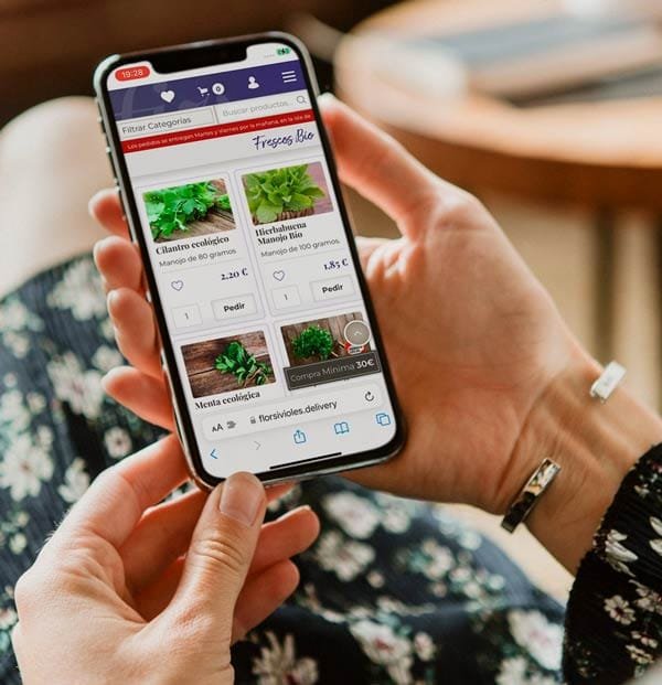 Tienda online Flors i Violes